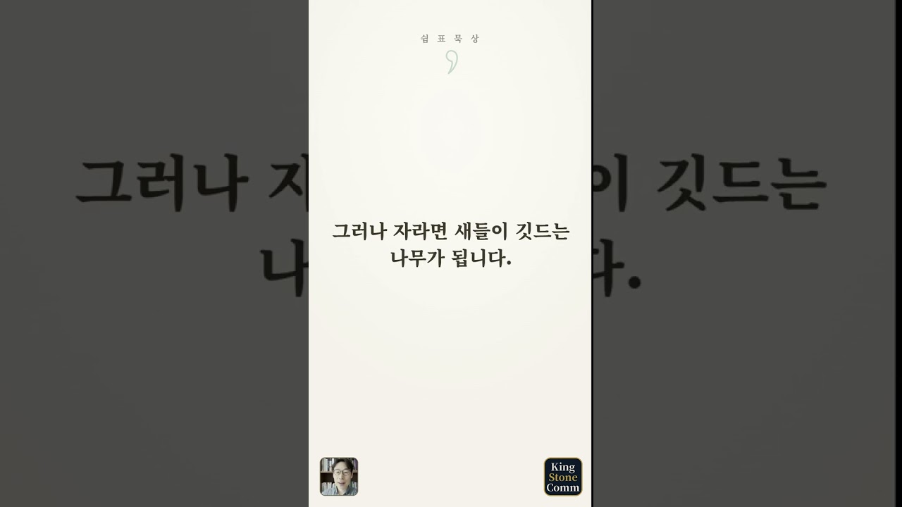 쉼표 묵상 ⑪— 겨자씨는 부끄럽지 않다